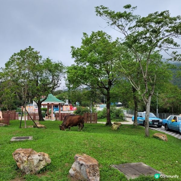 天壇大佛，香港必去！🤩