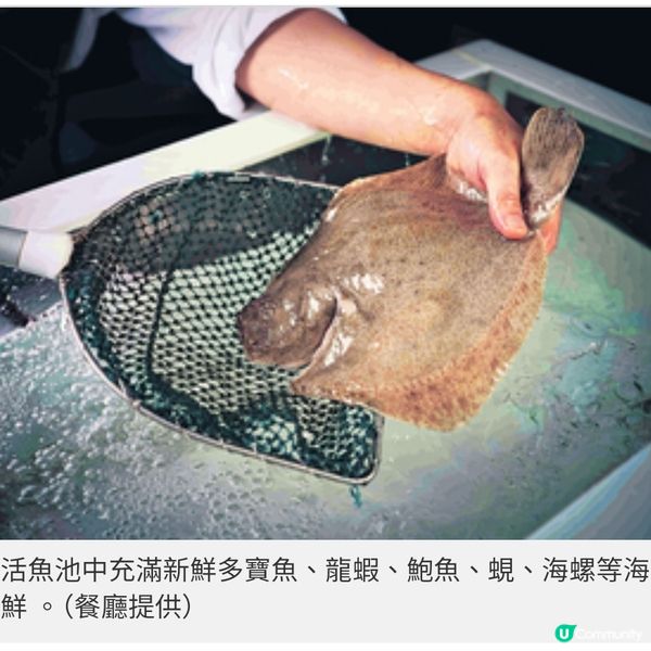 港島香格里拉cafe TOO 海鮮街加
強版登場