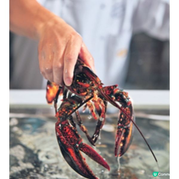 港島香格里拉cafe TOO 海鮮街加
強版登場