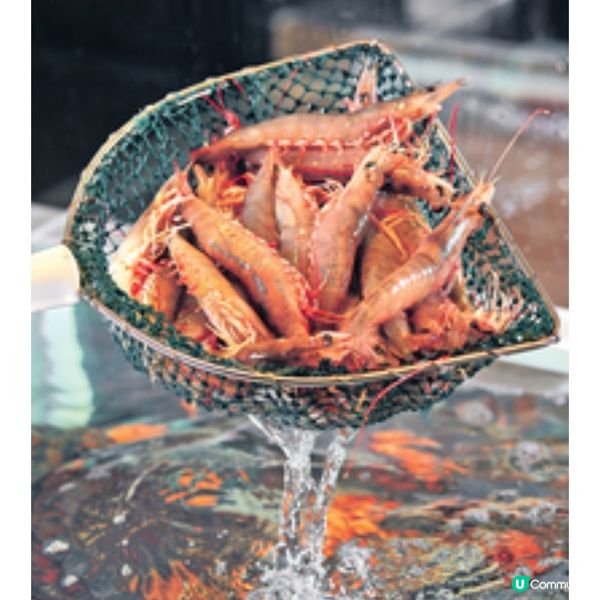 港島香格里拉cafe TOO 海鮮街加
強版登場