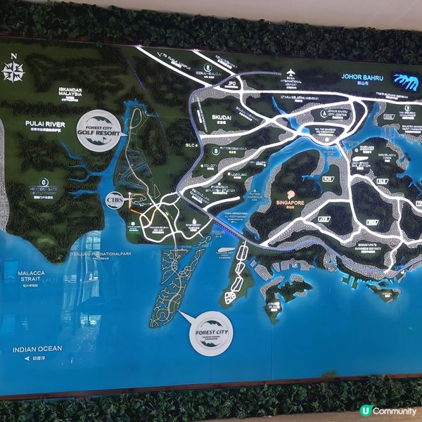 Forest City Golf Club⛳️🏌‍♀️🏌