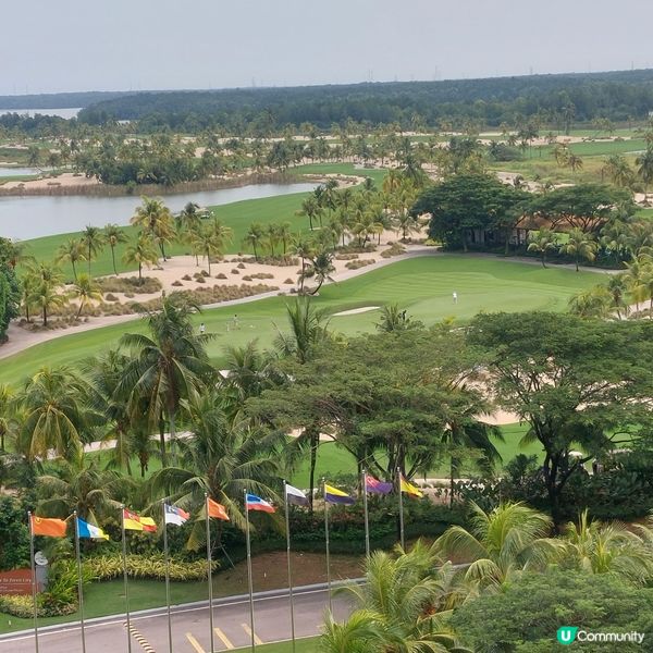 Forest City Golf Club⛳️🏌‍♀️🏌