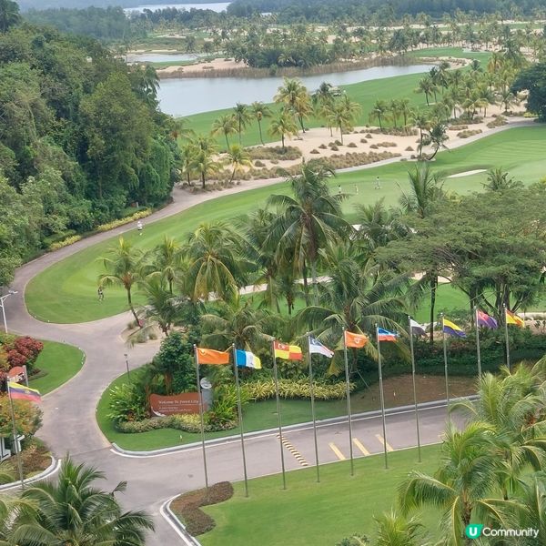 Forest City Golf Club⛳️🏌‍♀️🏌