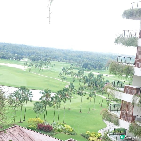 Forest City Golf Club⛳️🏌‍♀️🏌