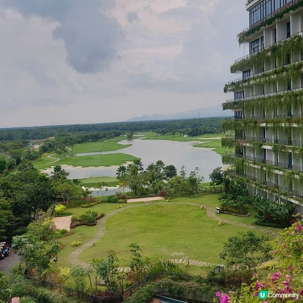 Forest City Golf Club⛳️🏌‍♀️🏌