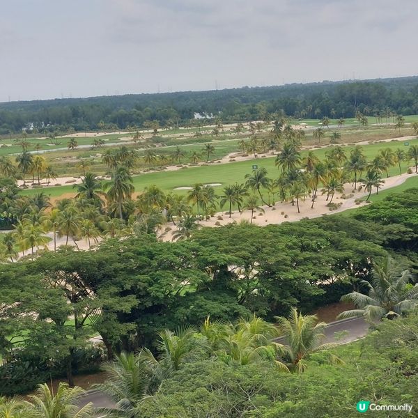 Forest City Golf Club⛳️🏌‍♀️🏌