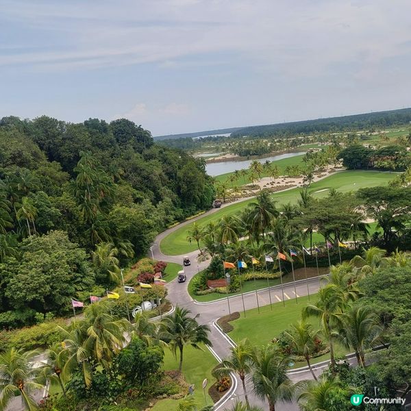 Forest City Golf Club⛳️🏌‍♀️🏌