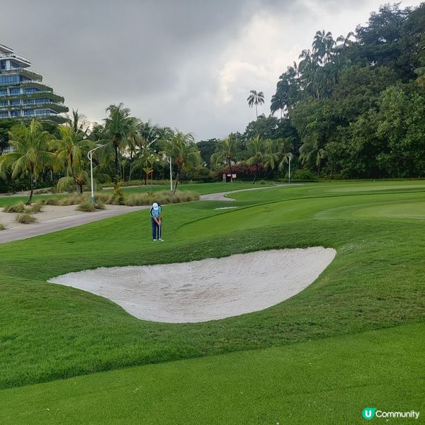 Forest City Golf Club⛳️🏌‍♀️🏌