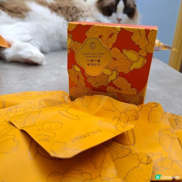 女士恩物 薑素素🫚