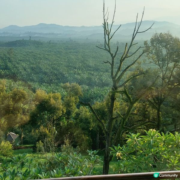 美律岭生態度假村