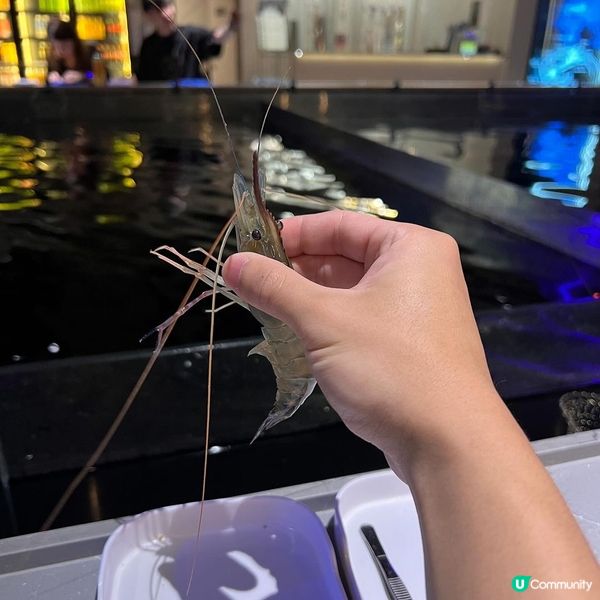 新蒲崗室內釣蝦場初體驗