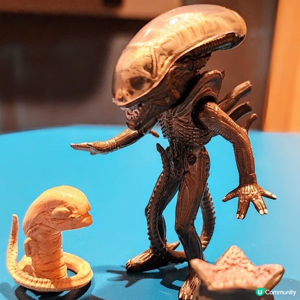 😱💥稀有🤯~「異形」😱竟出扭蛋‼️ 即收藏🤑