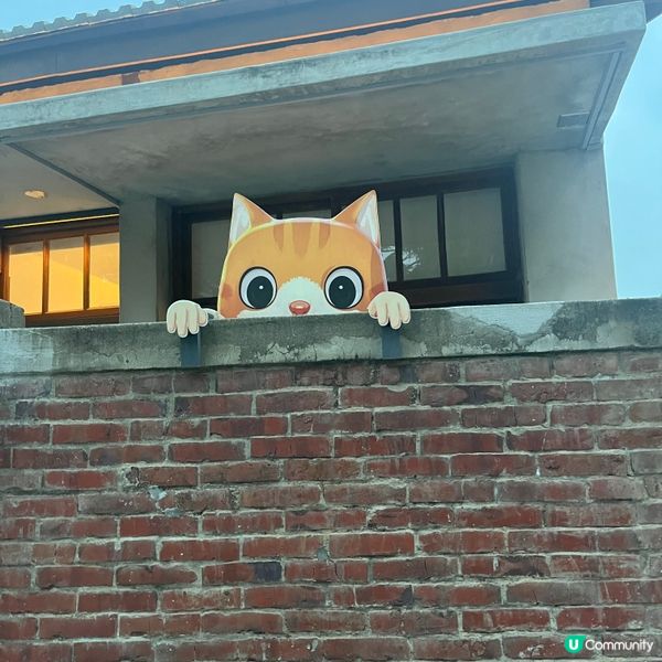 台中文青之旅 🚶‍♀️🎨