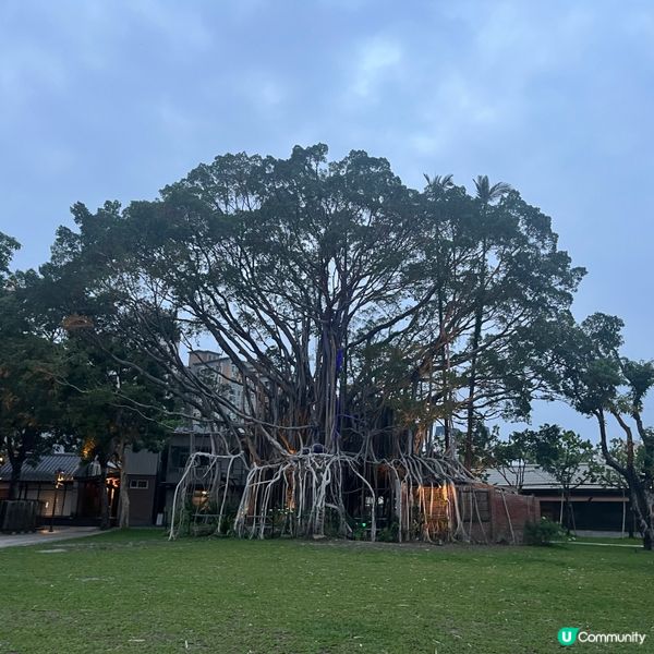 台中文青之旅 🚶‍♀️🎨