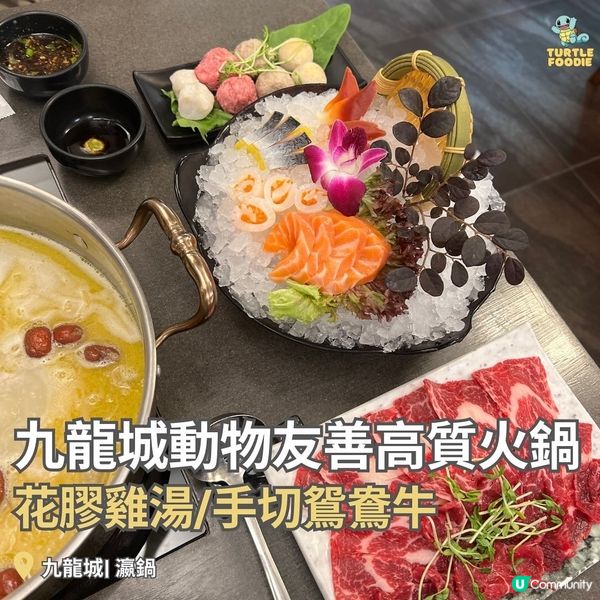 九龍城動物友善高質火鍋