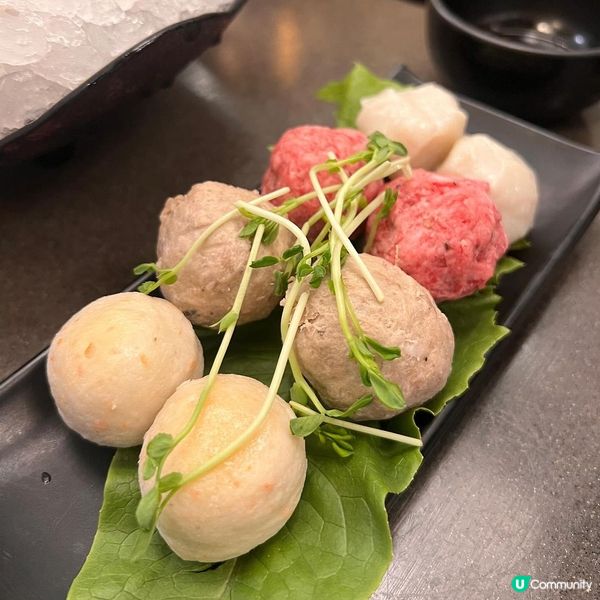 九龍城動物友善高質火鍋