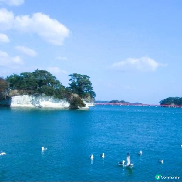 ## 日本松島之旅 🇯🇵🛳️