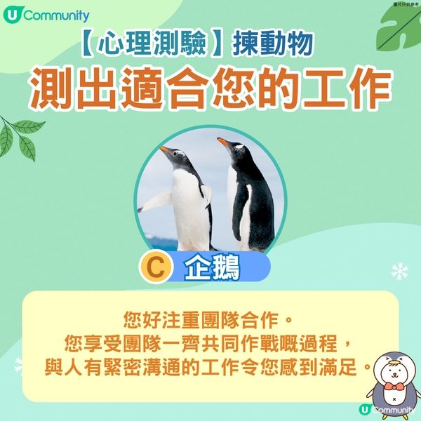【心理測驗】揀動物測出適合您的工作