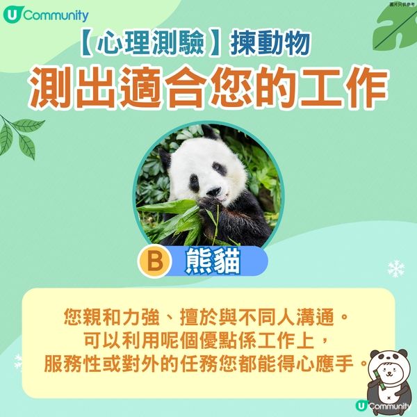 【心理測驗】揀動物測出適合您的工作