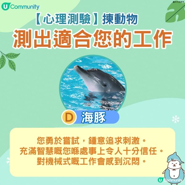 【心理測驗】揀動物測出適合您的工作