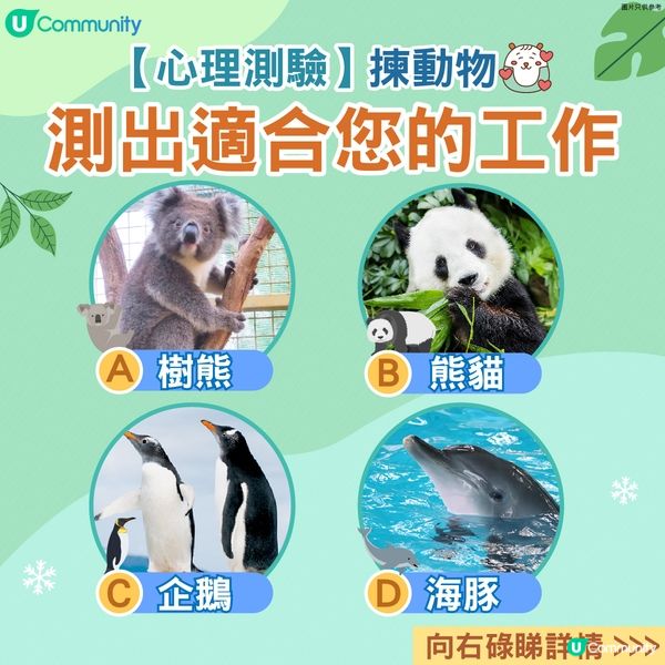 【心理測驗】揀動物測出適合您的工作