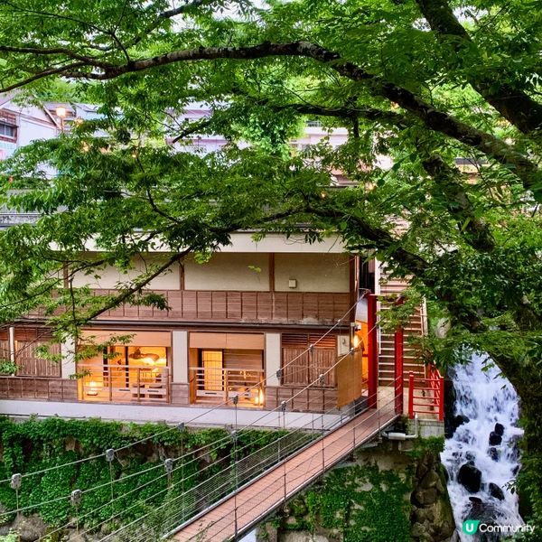 伊豆菊屋，靜心之旅 🇯🇵🌸