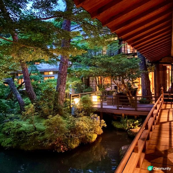 伊豆菊屋，靜心之旅 🇯🇵🌸