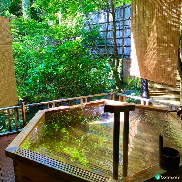 伊豆菊屋，靜心之旅 🇯🇵🌸