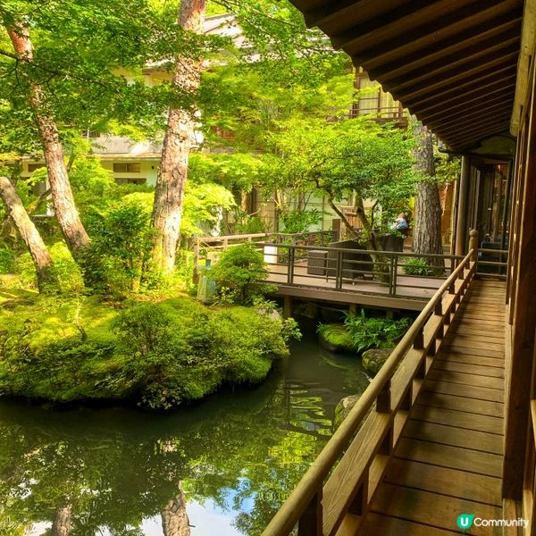 伊豆菊屋，靜心之旅 🇯🇵🌸