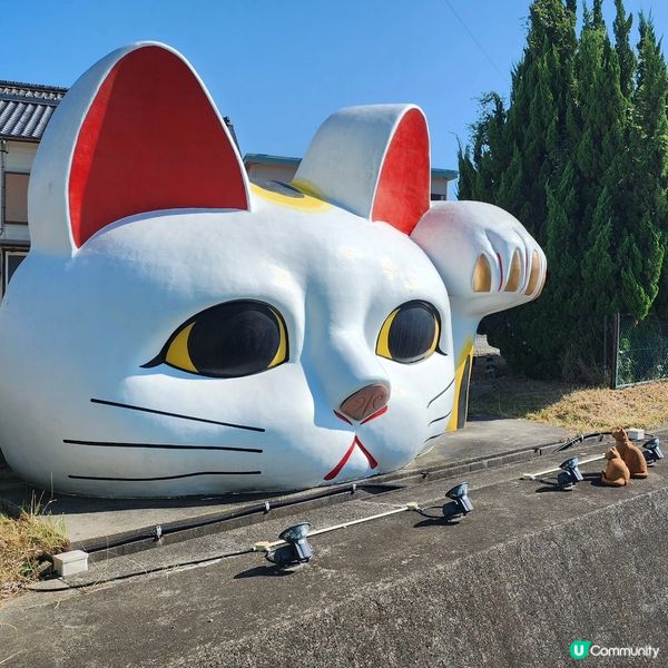 🔥🐾打卡必去‼️招財貓通道😱近名鐵‼️超方便💯