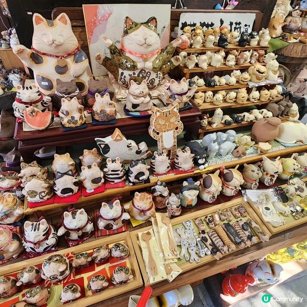 🔥🐾打卡必去‼️招財貓通道😱近名鐵‼️超方便💯