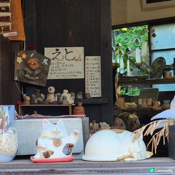 🔥🐾打卡必去‼️招財貓通道😱近名鐵‼️超方便💯