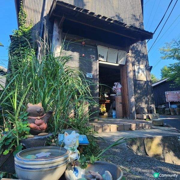 🔥🐾打卡必去‼️招財貓通道😱近名鐵‼️超方便💯