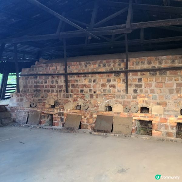 🔥🐾打卡必去‼️招財貓通道😱近名鐵‼️超方便💯