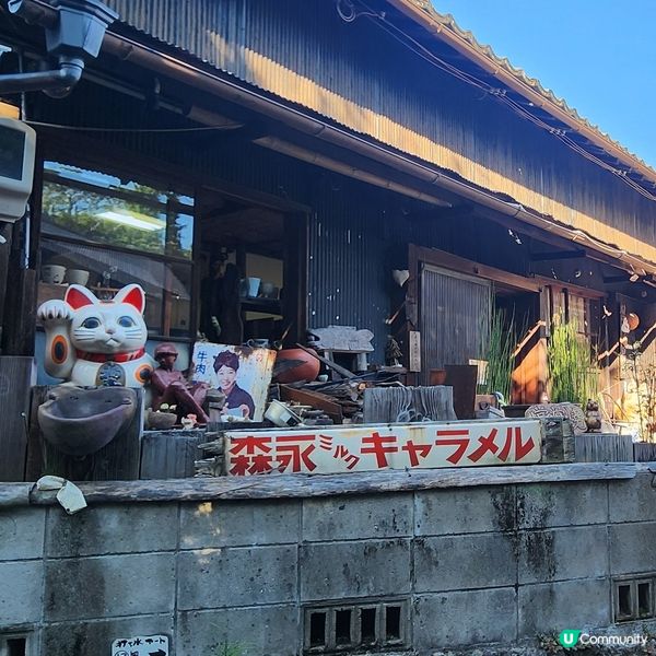 🔥🐾打卡必去‼️招財貓通道😱近名鐵‼️超方便💯