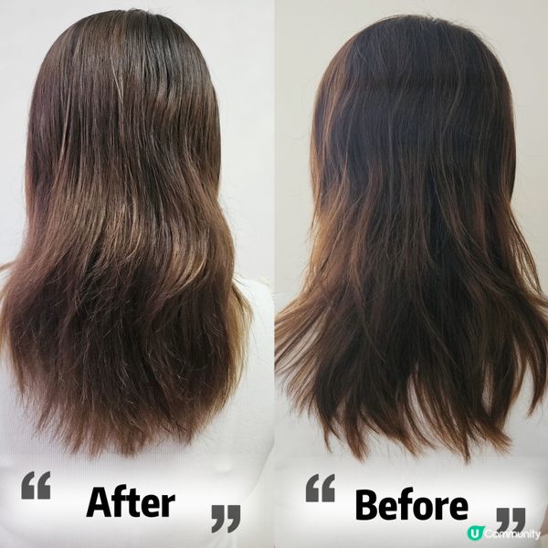 👩🏻‍🦱頭髮毛燥？亂草一樣？😭