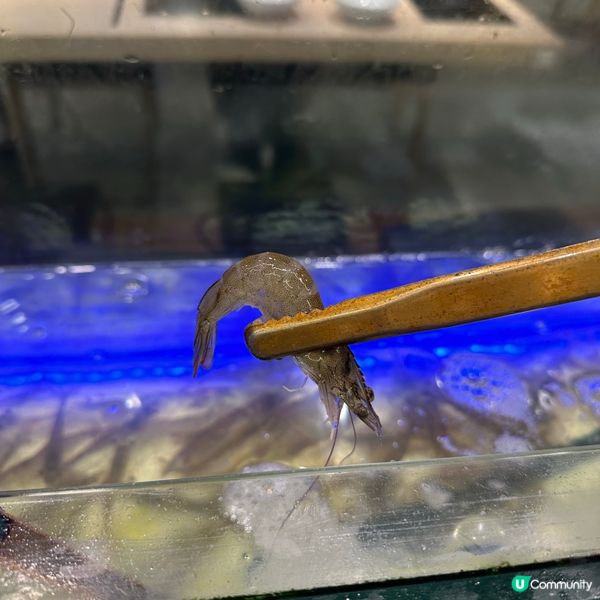 ［旺角］即夾即食大隻活蝦·特色泰式風味湯底🍲