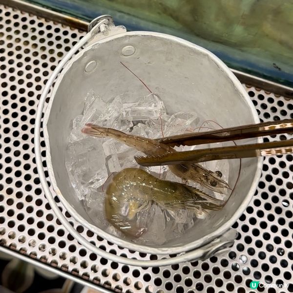 ［旺角］即夾即食大隻活蝦·特色泰式風味湯底🍲