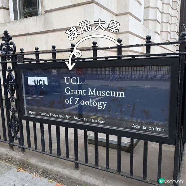 膽小者慎去！血淋淋的動物學博物館