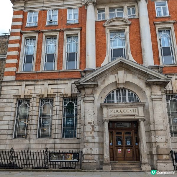 膽小者慎去！血淋淋的動物學博物館