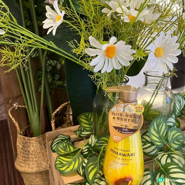 護髮養髮 ~ Himawari向日葵Ex活養洗髮露