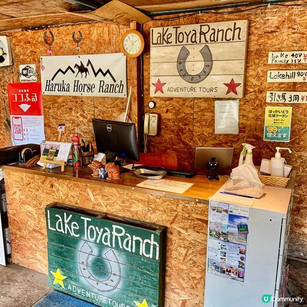 洞爺湖邊騎馬去！🐴