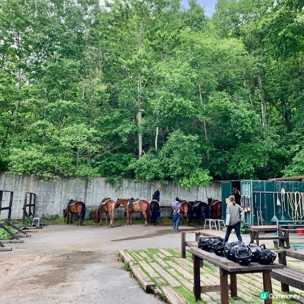 洞爺湖邊騎馬去！🐴