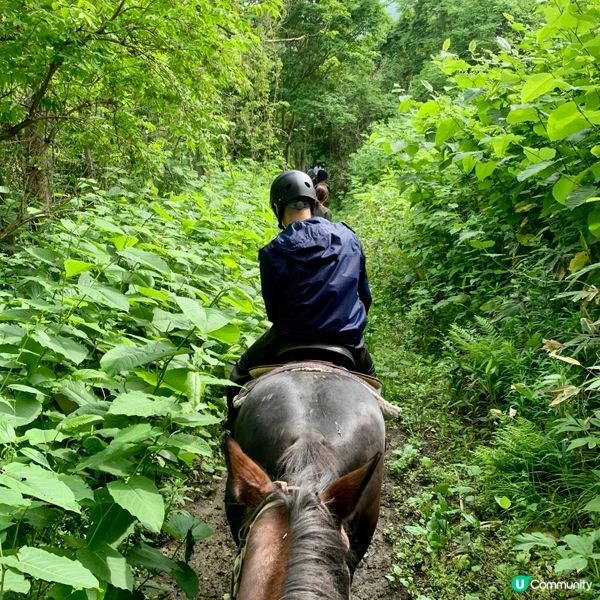 洞爺湖邊騎馬去！🐴