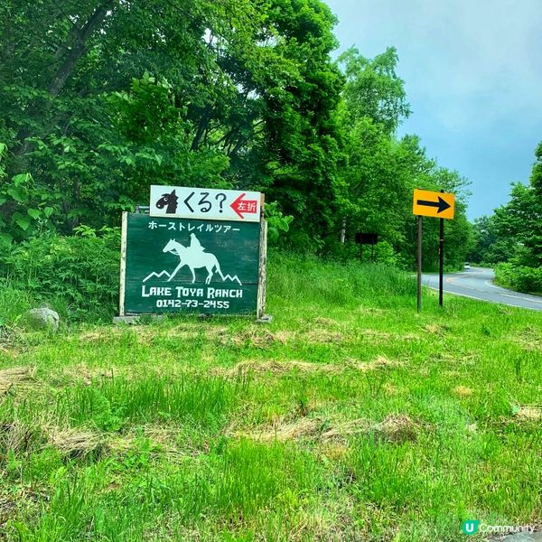 洞爺湖邊騎馬去！🐴