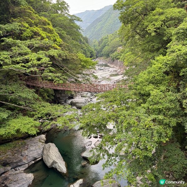 日本三大奇橋之《祖谷蔓橋》