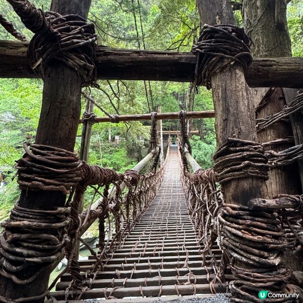 日本三大奇橋之《祖谷蔓橋》