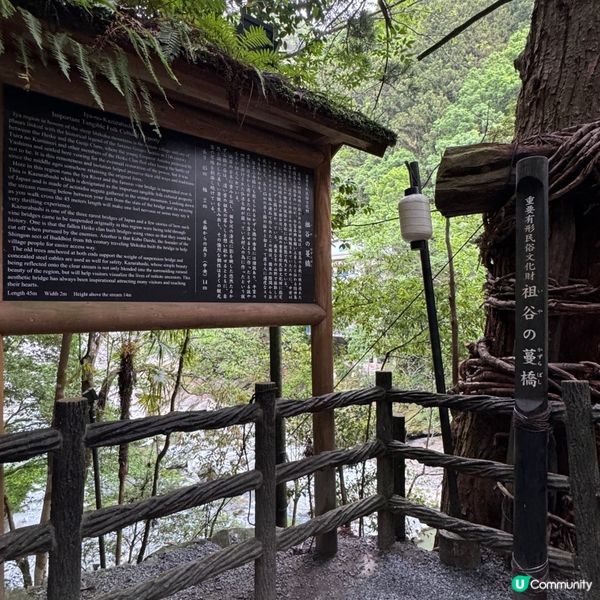 日本三大奇橋之《祖谷蔓橋》