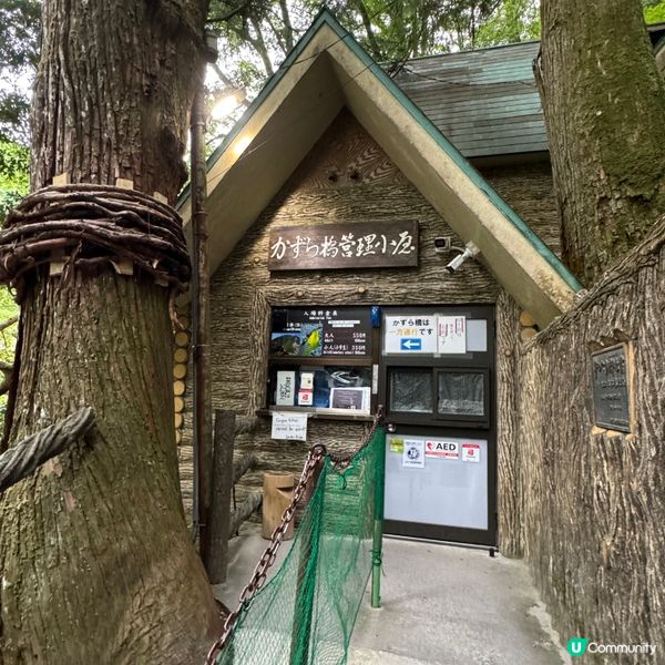 日本三大奇橋之《祖谷蔓橋》