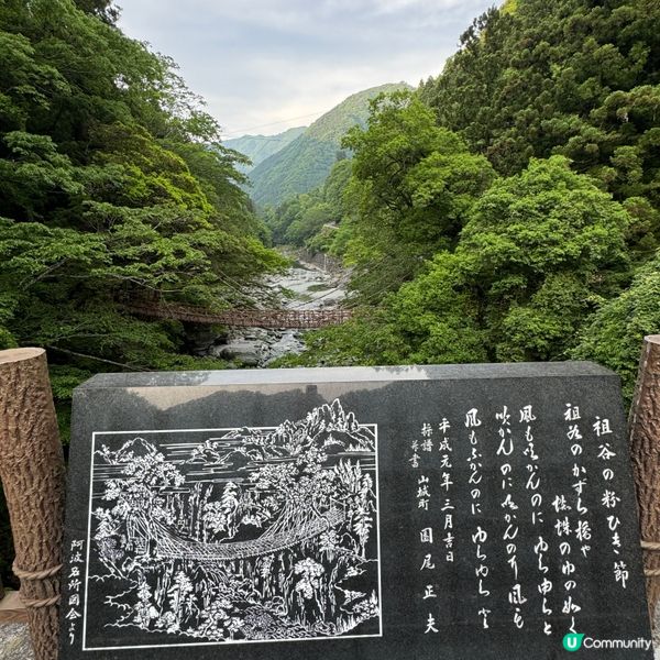 日本三大奇橋之《祖谷蔓橋》